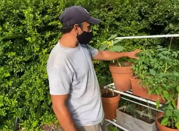 Huerta orgánica en casa - Laura Di Cola