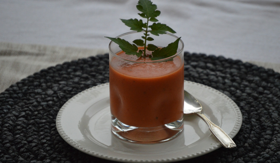 Gazpacho - Laura Di Cola