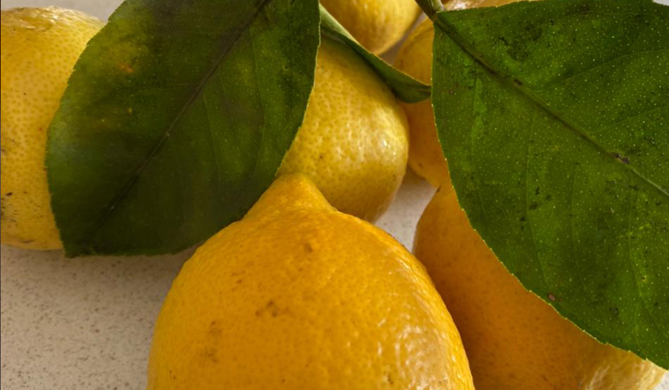 Limones encurtidos