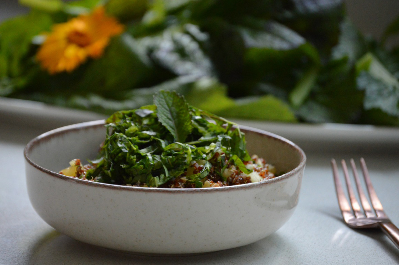 Ensalada de quinoa y hojas de mostaza